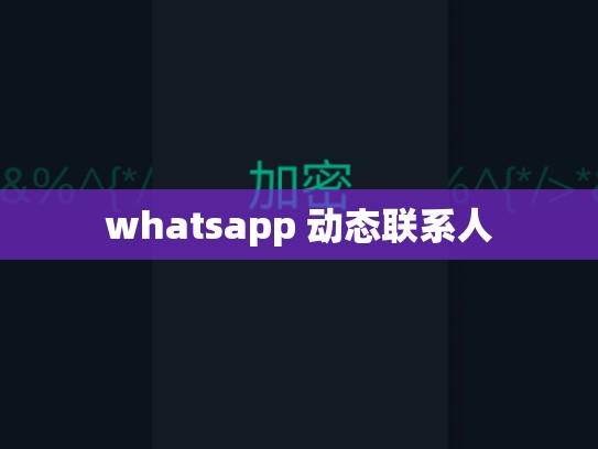 whatsapp 动态联系人