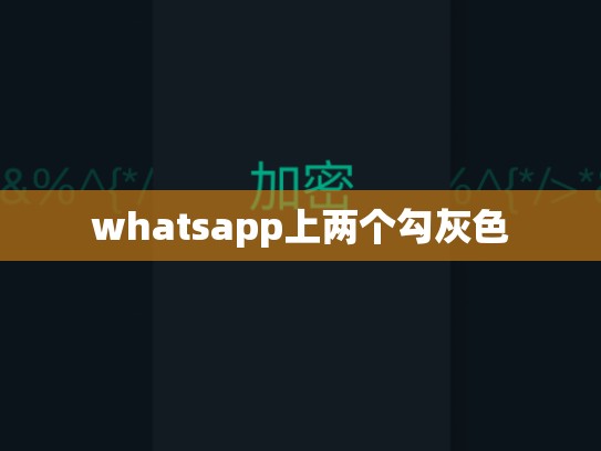 whatsapp上两个勾灰色