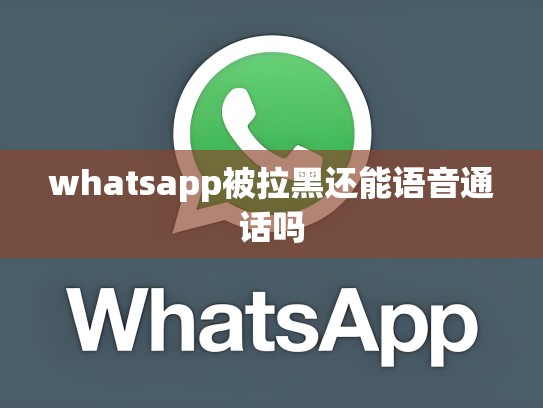 whatsapp被拉黑还能语音通话吗