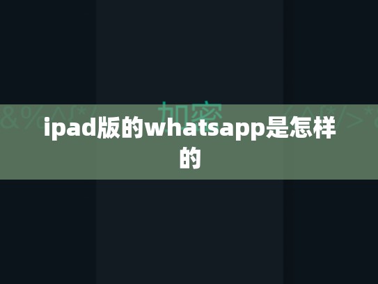 ipad版的whatsapp是怎样的