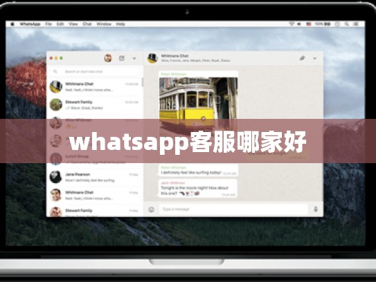 whatsapp客服哪家好