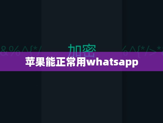 苹果能正常用whatsapp
