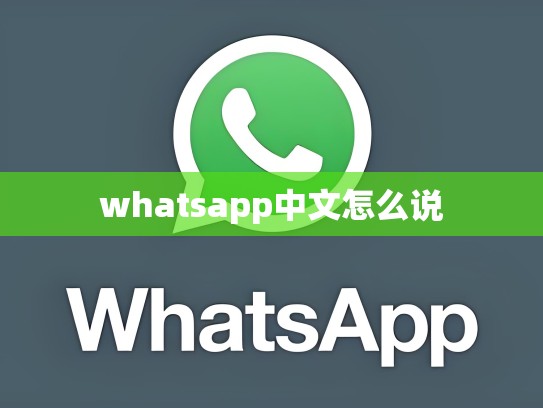 whatsapp中文怎么说