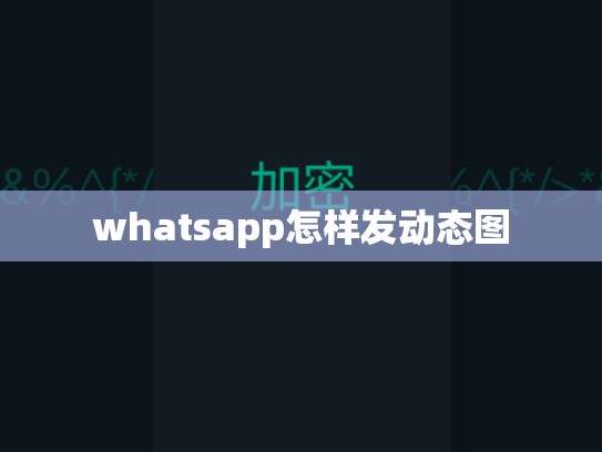 whatsapp怎样发动态图