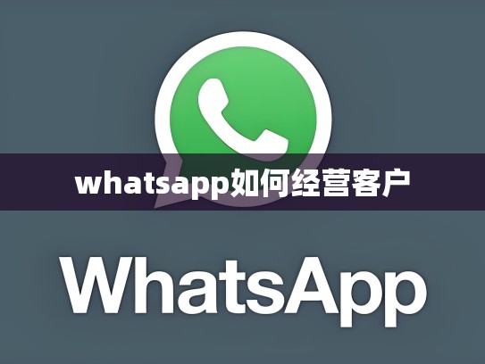 whatsapp如何经营客户
