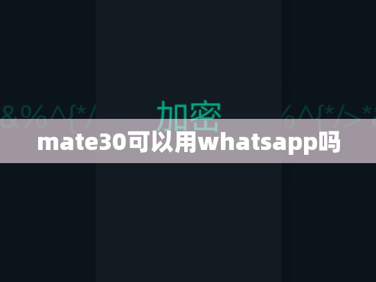 mate30可以用whatsapp吗