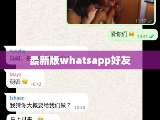 最新版whatsapp好友