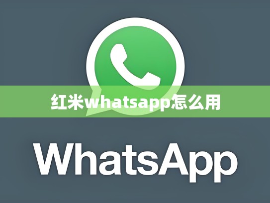 红米whatsapp怎么用