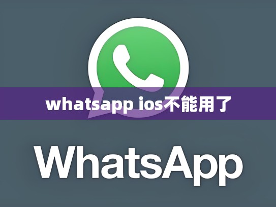 whatsapp ios不能用了