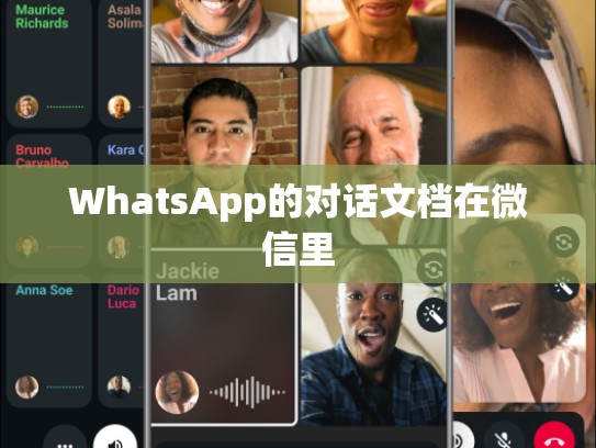 WhatsApp的对话文档在微信里