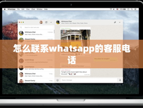 怎么联系whatsapp的客服电话