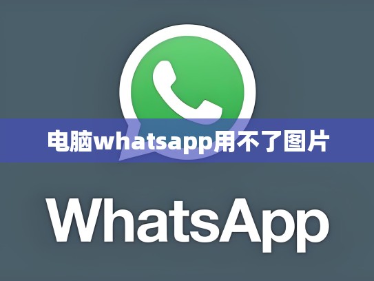 电脑whatsapp用不了图片