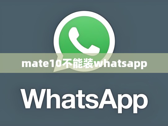 mate10不能装whatsapp