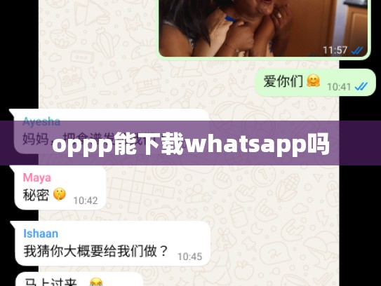 oppp能下载whatsapp吗