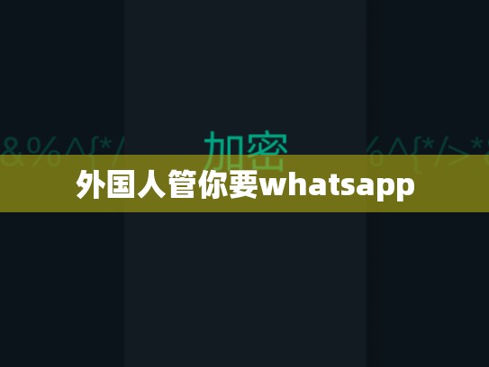 外国人管你要whatsapp