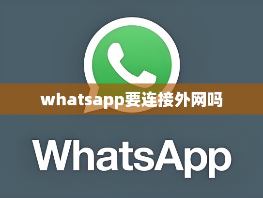 whatsapp要连接外网吗