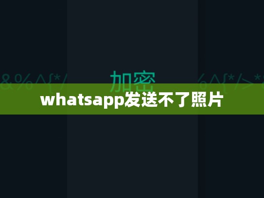 whatsapp发送不了照片