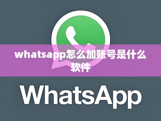 whatsapp怎么加账号是什么软件