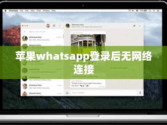 苹果whatsapp登录后无网络连接