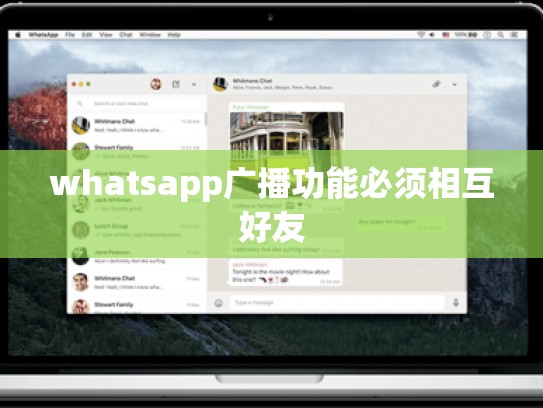 whatsapp广播功能必须相互好友