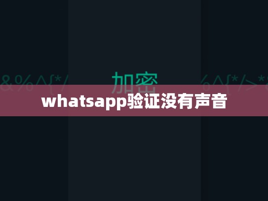 whatsapp验证没有声音