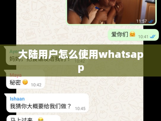 大陆用户怎么使用whatsapp