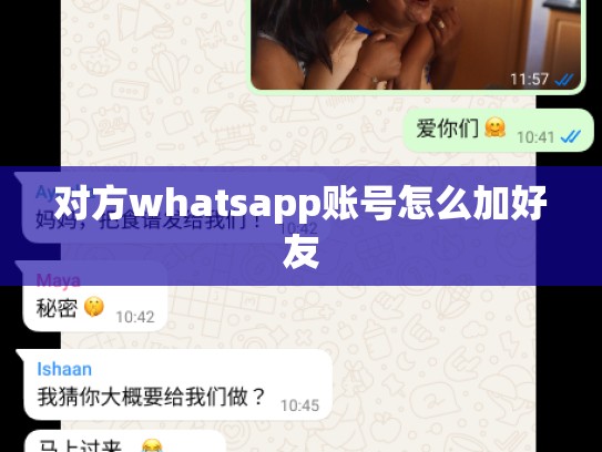 对方whatsapp账号怎么加好友