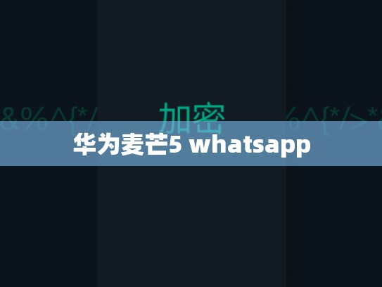 华为麦芒5 whatsapp