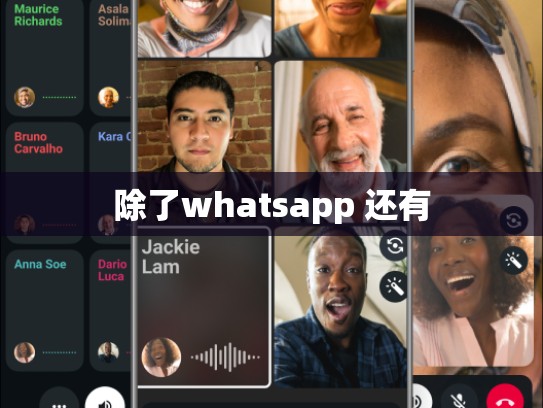 除了whatsapp 还有