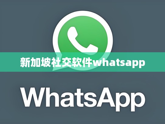 新加坡社交软件whatsapp