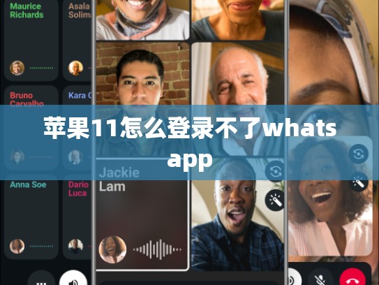 苹果11怎么登录不了whatsapp