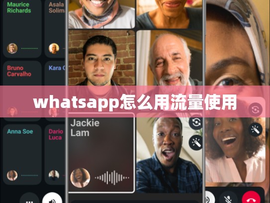 whatsapp怎么用流量使用