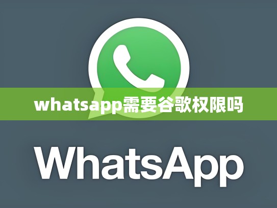 whatsapp需要谷歌权限吗