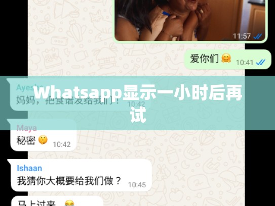 Whatsapp显示一小时后再试