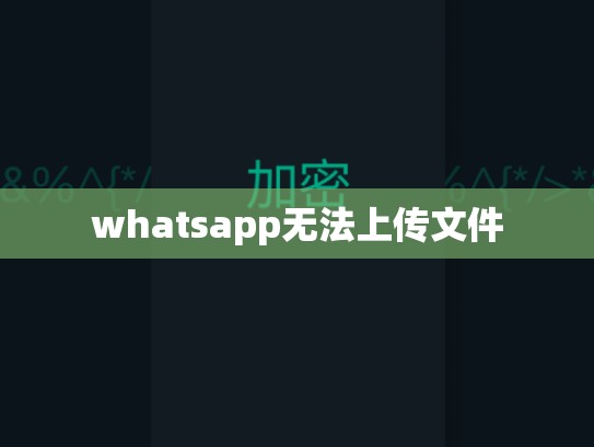 whatsapp无法上传文件