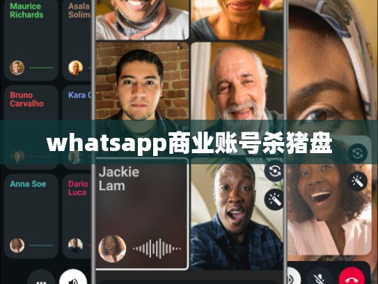 whatsapp商业账号杀猪盘