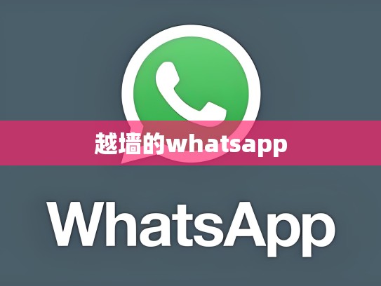 越墙的whatsapp