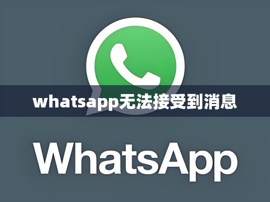 whatsapp无法接受到消息