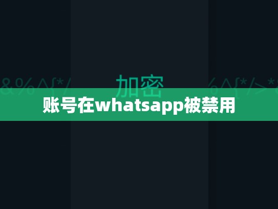 账号在whatsapp被禁用