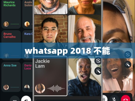 whatsapp 2018 不能