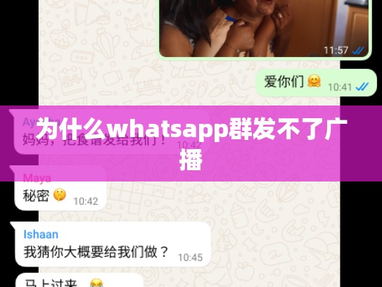 为什么whatsapp群发不了广播