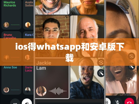 ios得whatsapp和安卓版下载