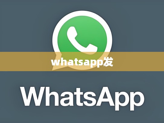 whatsapp发