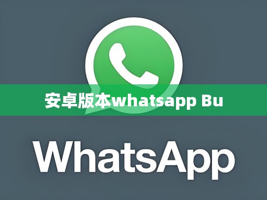 安卓版本whatsapp Bu