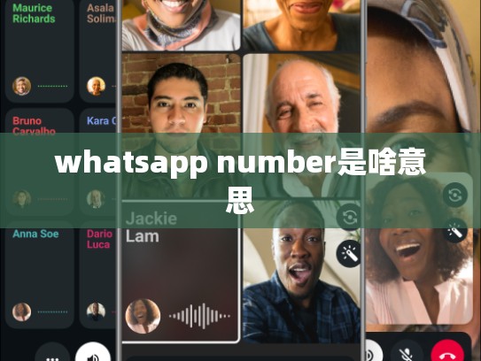 whatsapp number是啥意思