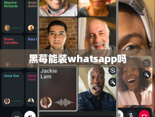 黑莓能装whatsapp吗