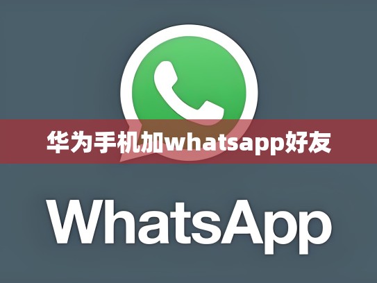 华为手机加whatsapp好友