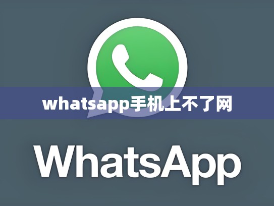 whatsapp手机上不了网