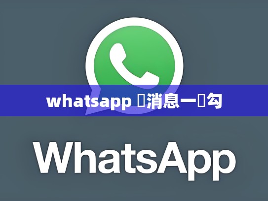 whatsapp 發消息一個勾