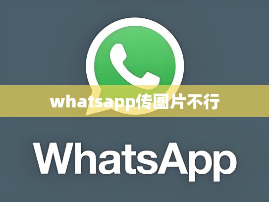 whatsapp传图片不行